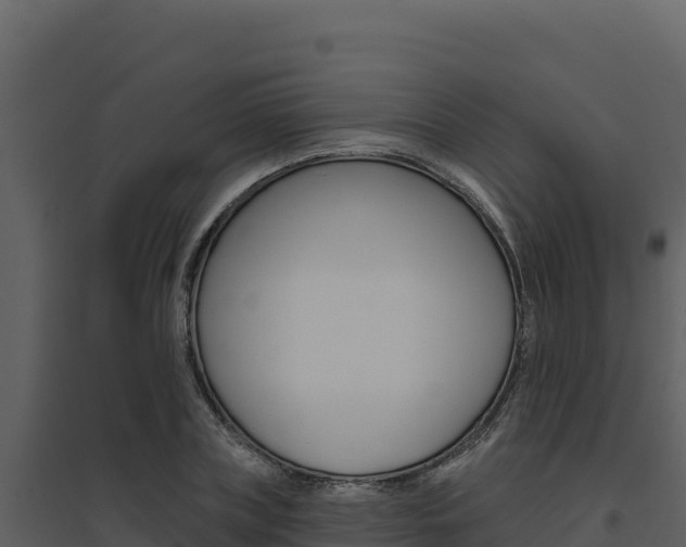 X0000094810835200711161002
