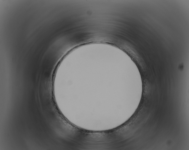 X0000094810836200711161002