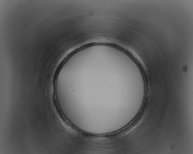 X0000094810837200711161002