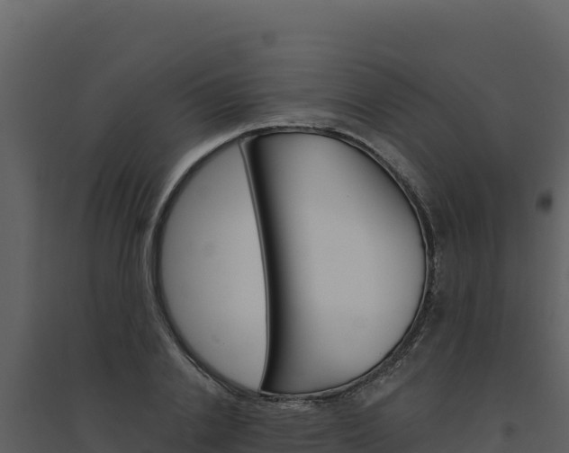 X0000094810838200711161002
