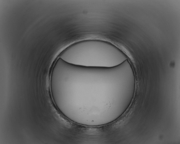 X0000094810839200711161002