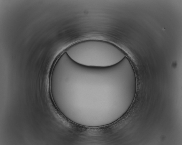 X0000094810840200711161002
