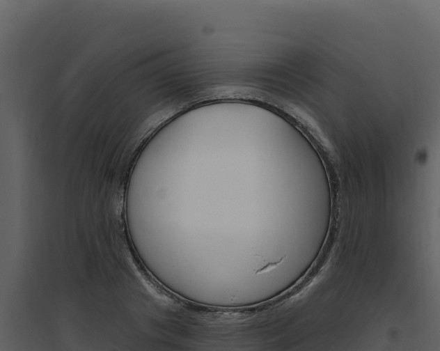X0000094810841200711161002