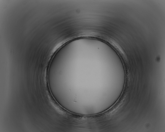 X0000094810842200711161002