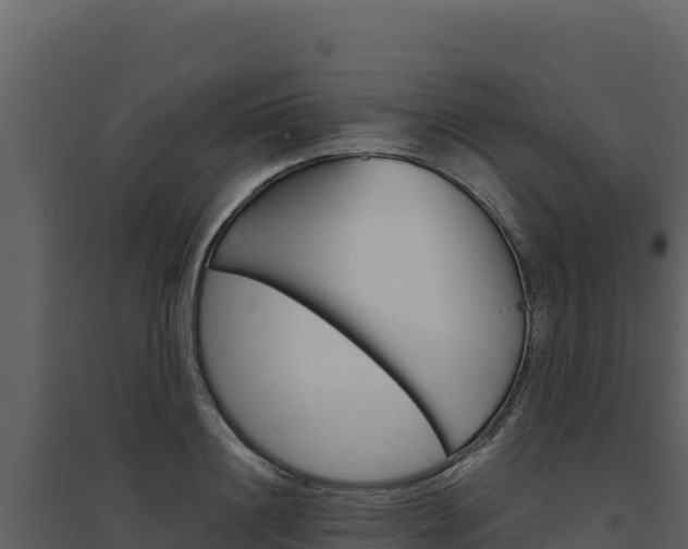 X0000094810844200711161002