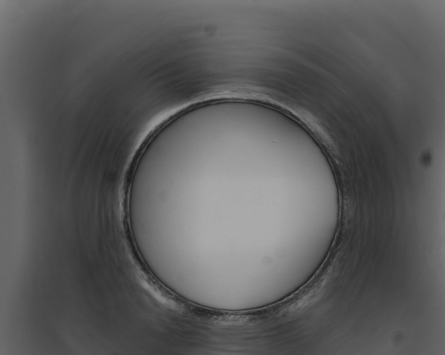 X0000094810846200711161002