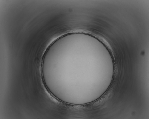 X0000094810847200711161002