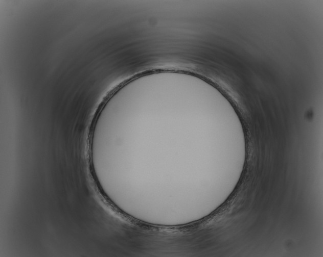 X0000094810848200711161002