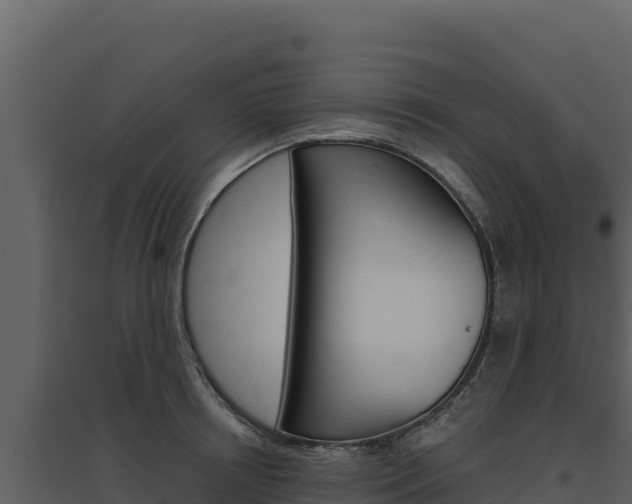 X0000094810850200711161002