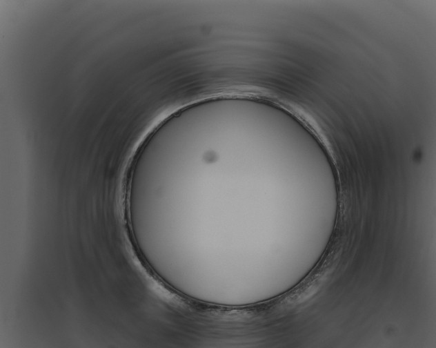 X0000094810851200711161002