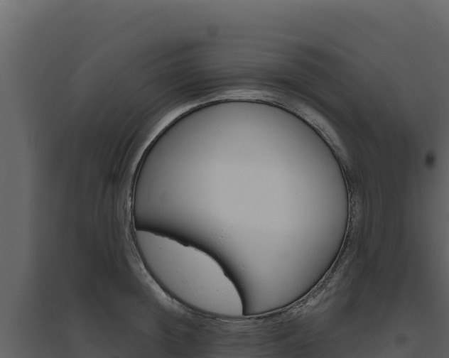 X0000094810852200711161002