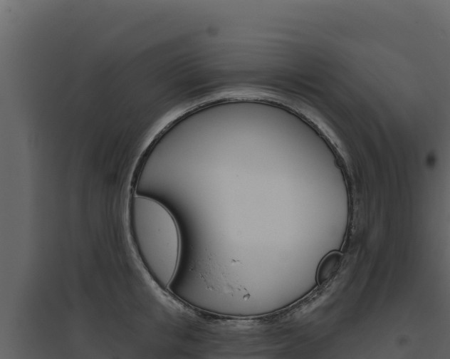 X0000094810853200711161002