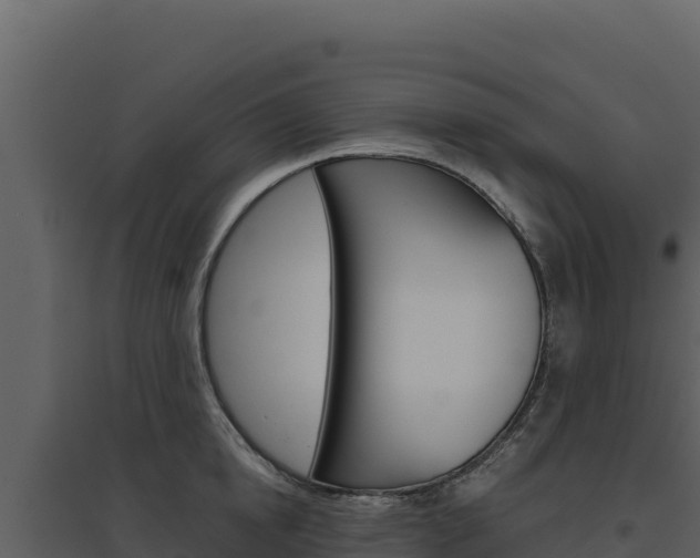 X0000094810854200711161002