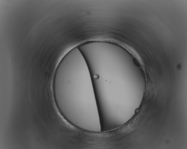 X0000094810855200711161002