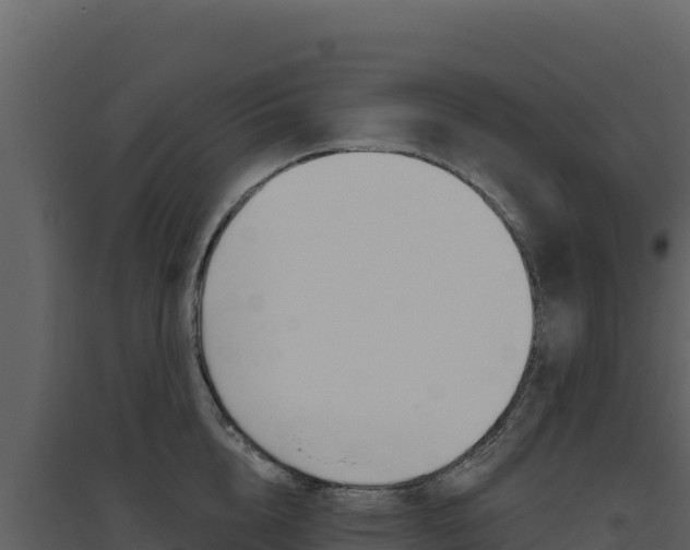 X0000094810856200711161002