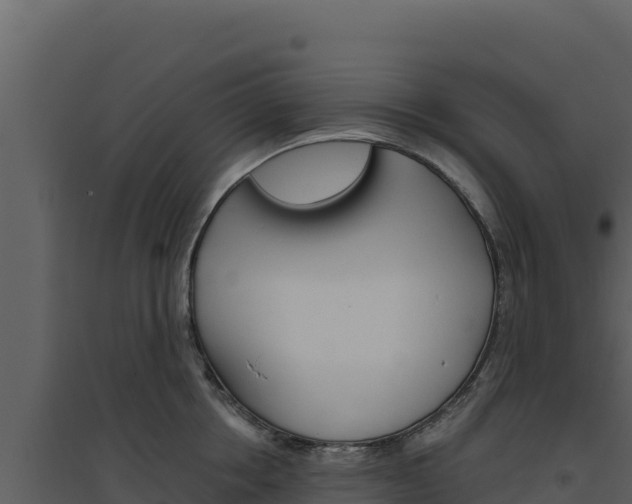 X0000094810858200711161002