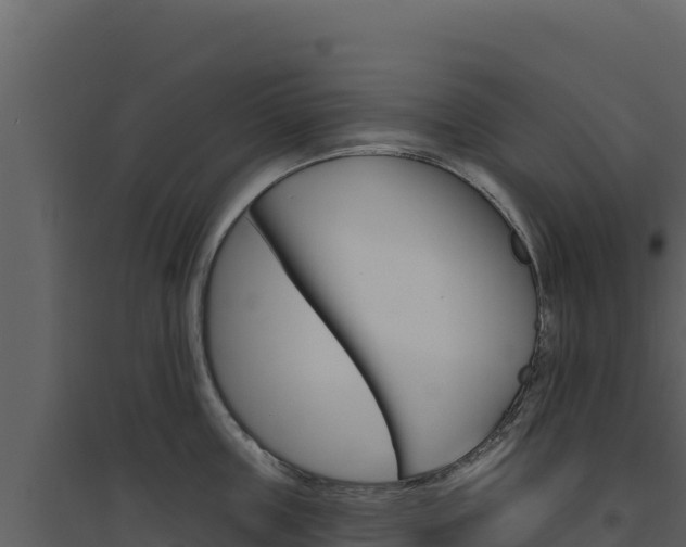 X0000094810859200711161002