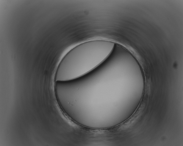 X0000094810862200711161002