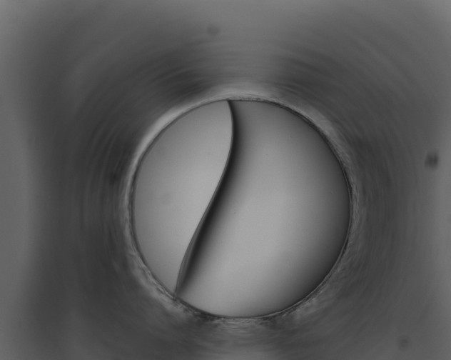 X0000094810864200711161002