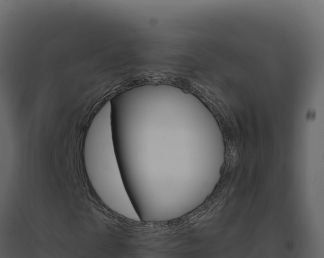 X0000094810865200711161002