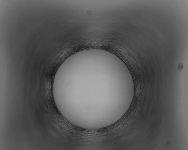 X0000094810866200711161001