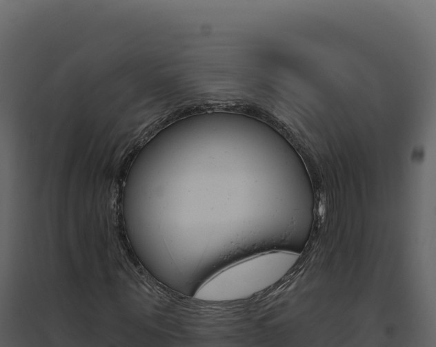 X0000094810867200711161001