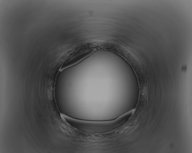 X0000094810868200711161001