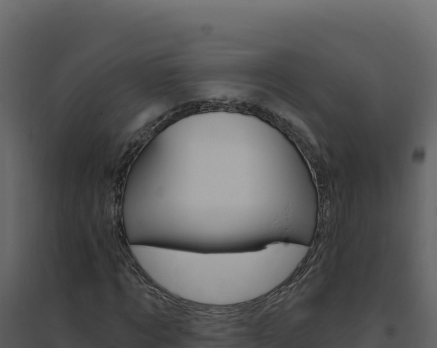X0000094810869200711161001