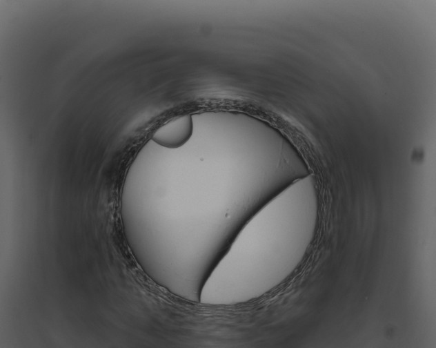 X0000094810870200711161001