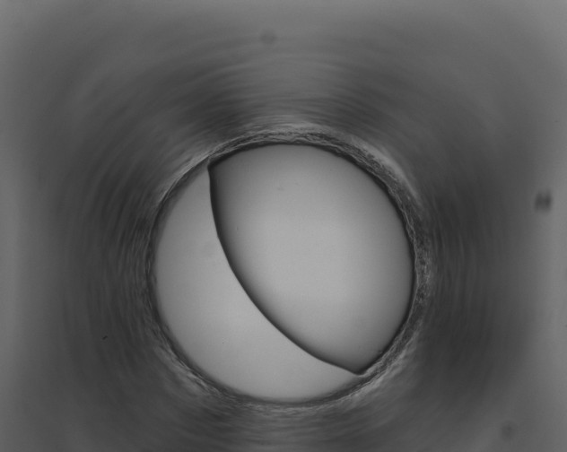X0000094810873200711161001