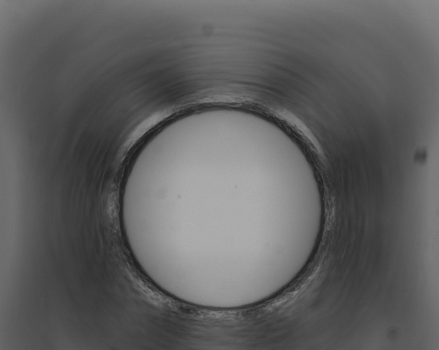 X0000094810874200711161001