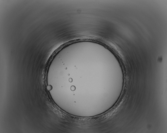 X0000094810875200711161001