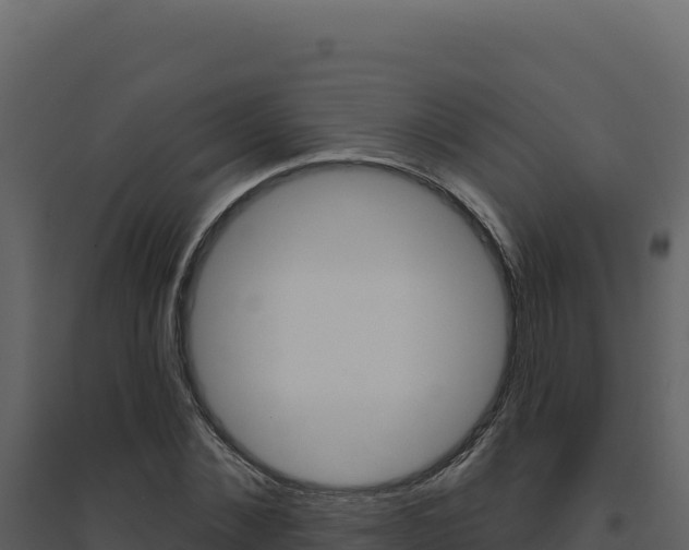X0000094810876200711161001