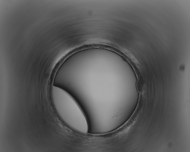 X0000094810877200711161001