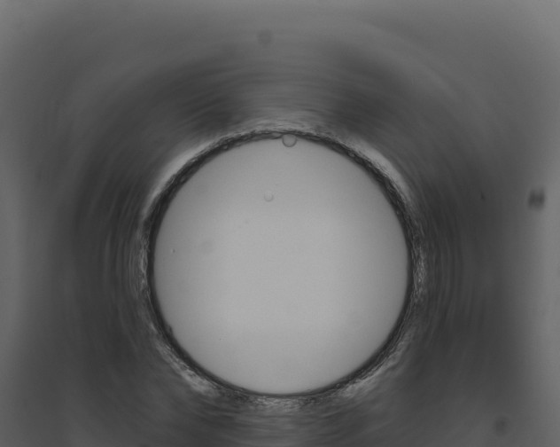 X0000094810878200711161001