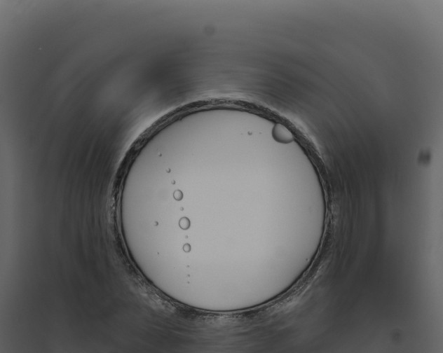 X0000094810879200711161001