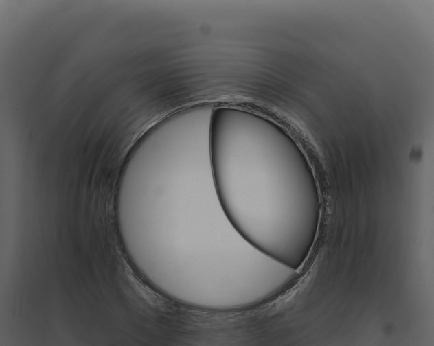 X0000094810881200711161001