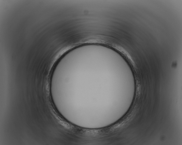 X0000094810882200711161001