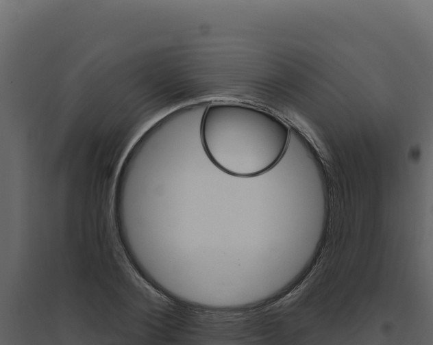 X0000094810884200711161001
