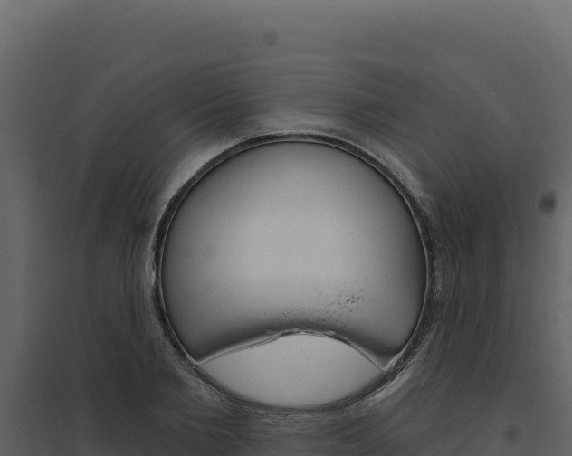 X0000094810885200711161001