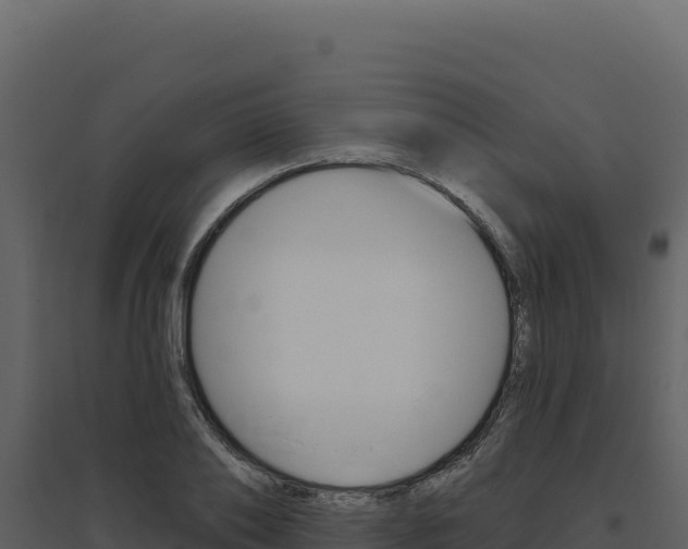 X0000094810886200711161001