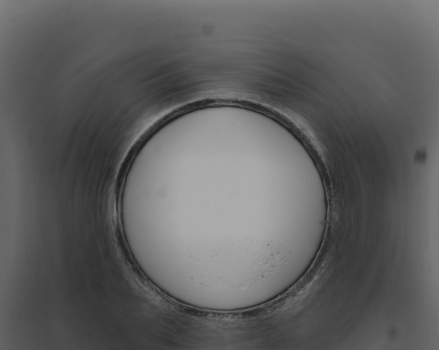 X0000094810887200711161001