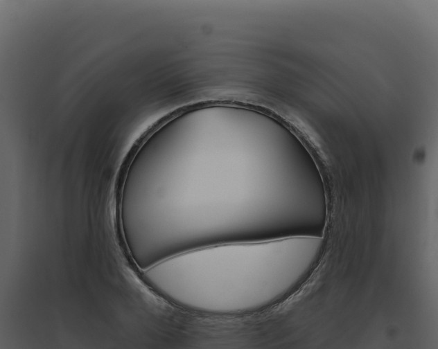 X0000094810888200711161001