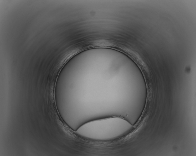 X0000094810889200711161001