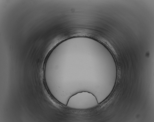 X0000094810890200711161001