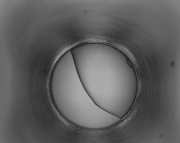 X0000094810893200711161001