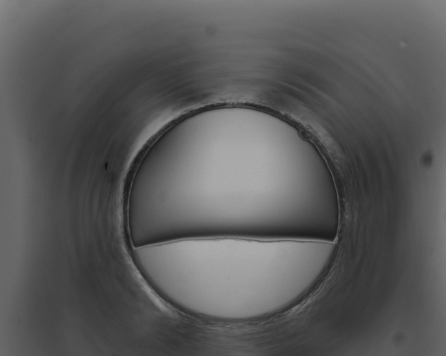 X0000094810894200711161001