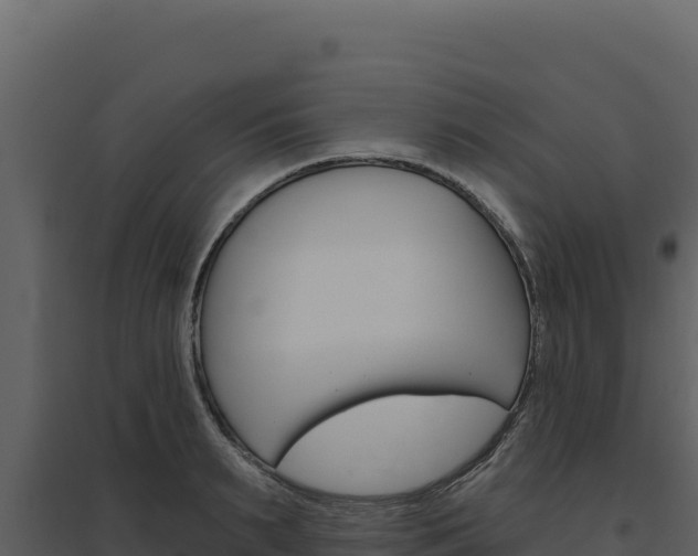 X0000094810895200711161001