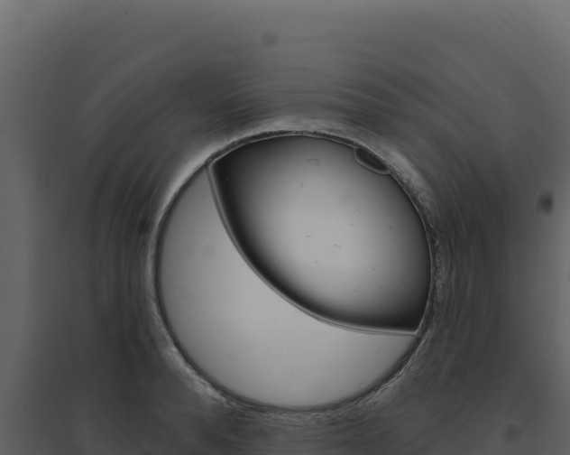 X0000094810896200711161001
