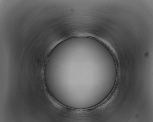 X0000094810897200711161001